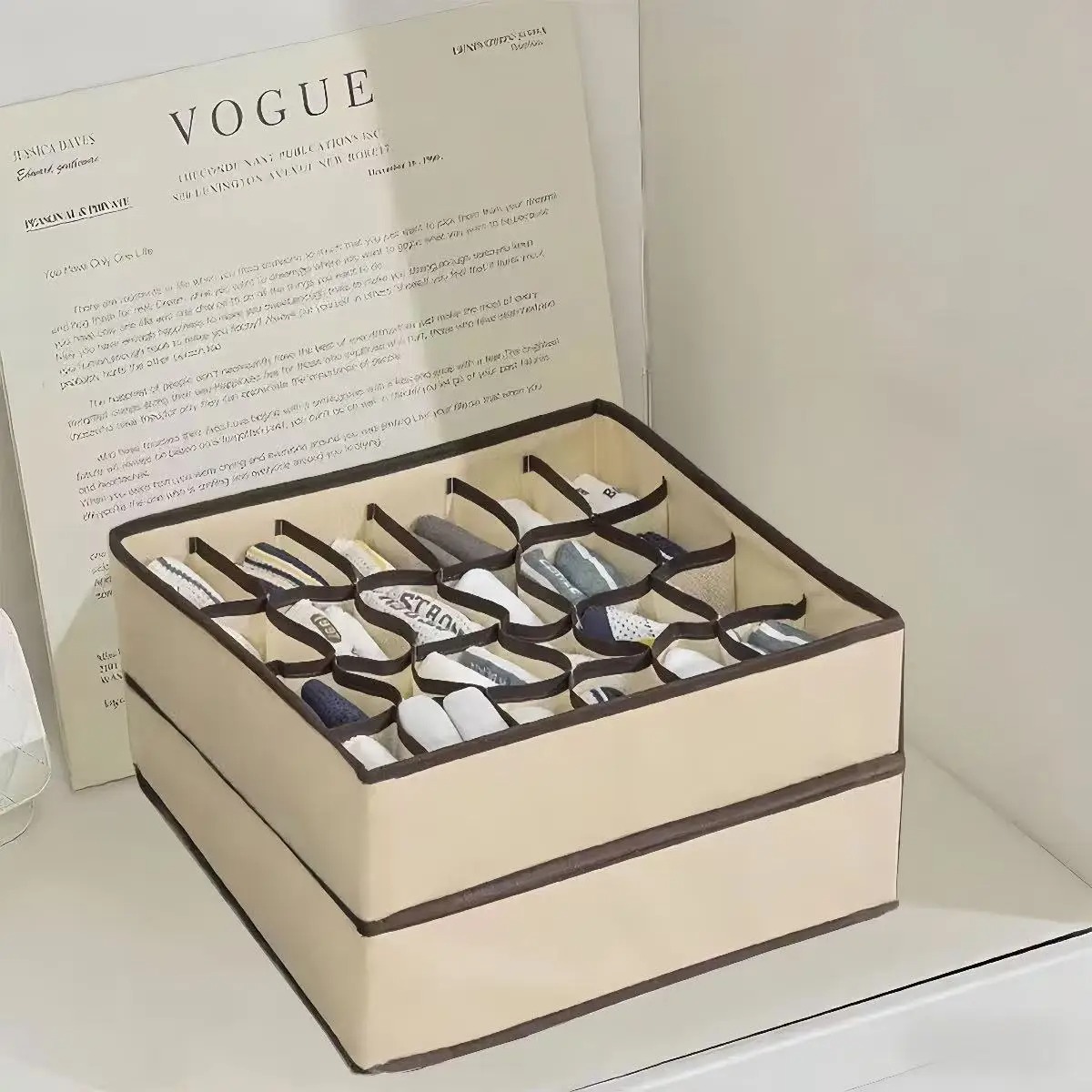 Organizer Untuk Pakaian Dalam, - Sock Organizer Tray ulasan dan harga