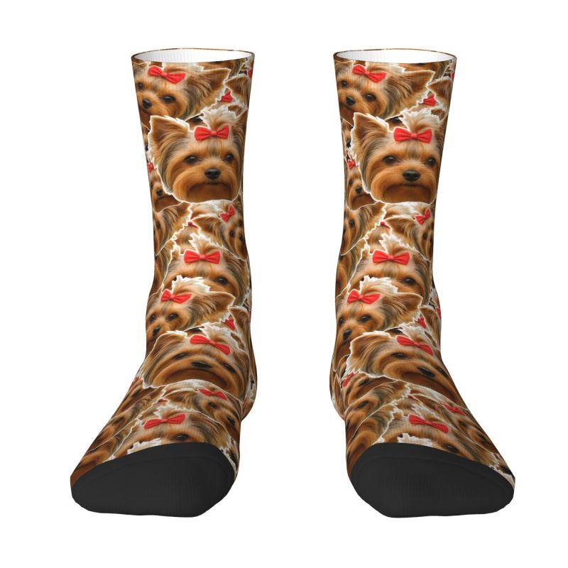 Kaos Kaki Pria Lucu dengan Des - Dress Sock Men ulasan dan harga