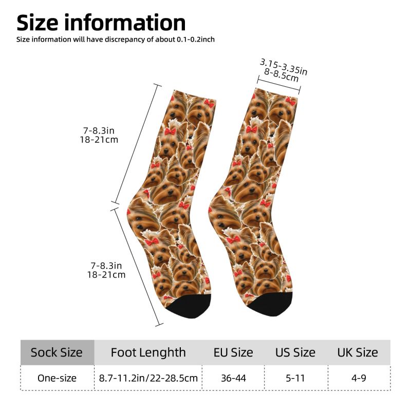 Kaos Kaki Pria Lucu dengan Des - Dress Sock Men ulasan dan harga